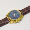 'OLEVS' Men's Luxurious Gold-Tone Watch
