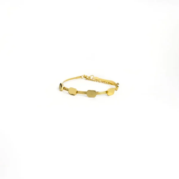 Trendy 14K Gold Plated Stainless Steel Snake Chain Bracelet