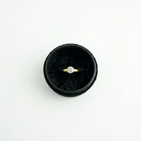 18K Gold Plated Stainless Steel Ring