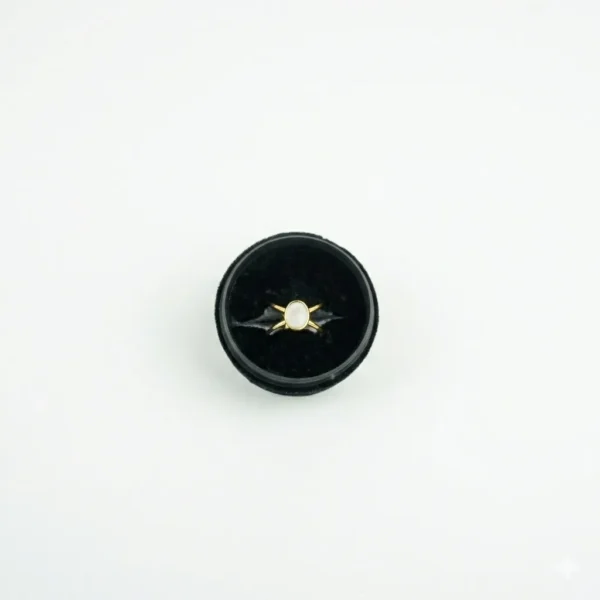18K Gold Plated Waterproof Geometric Hollow Ring