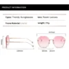 Imported Luxury Women Oversized UV400 Sunglasses Pink