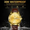 BINBOND 8879 Men’s Luxury Watch | Genuine Leather Strap, Multifunction Quartz, Waterproof Business & Casual Wristwatch GOLDEN
